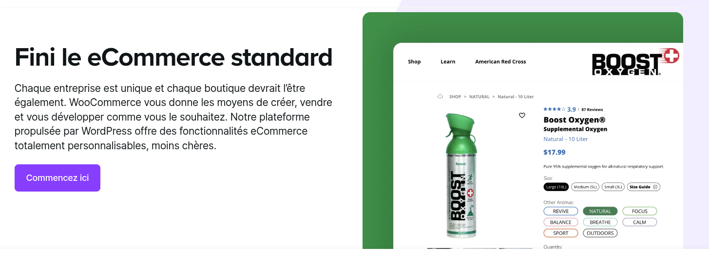 cadenas barre de recherche